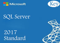 SQL Server 2017 표준 24코어 온라인 라이선스 코드 소매 키 글로벌
